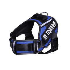Neck Support Dog Harness with Reflective Pet Chest Harness and Leash, Direct Factory Supply Dog Lead and Pet Leash
