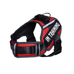 Neck Support Dog Harness with Reflective Pet Chest Harness and Leash, Direct Factory Supply Dog Lead and Pet Leash