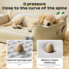 Heavy-Duty All-Weather Dog House: Chew-Resistant, Portable & Washable for Medium/Large Dogs