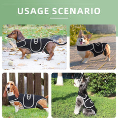 Pet Support Vest for Dogs with Intervertebral Disc Injury, Back Fracture Protection Belt, Large Dog Lumbar Support