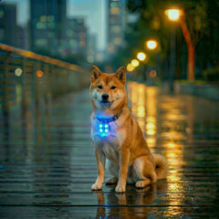 USB Rechargeable 3-Mode LED Pet Safety Light - Glowing Collar for Dogs and Cats