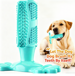 Pet Dog Toy Dental Brush Teeth Cleaning Elastic Rubber Chew Toy