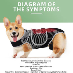Pet Support Vest for Dogs with Intervertebral Disc Injury, Back Fracture Protection Belt, Large Dog Lumbar Support
